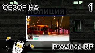 ОБЗОР НА PROVINCE RP ROBLOX! ОТКРЫТОЕ МВД?