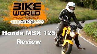 HONDA MSX 125 Review (Reload From Show) Sponsored by MCE Insurance