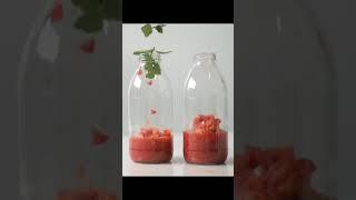 Strawberry Ade  VS  Strawberry Milk #Shorts #Aesthetic #Drink #ASMR #Homemade #Cafe