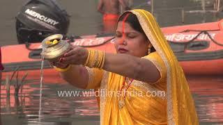 Woman in Yellow colored saree offering water to the setting sun Chhath Puja Yamuna Ghat Noida