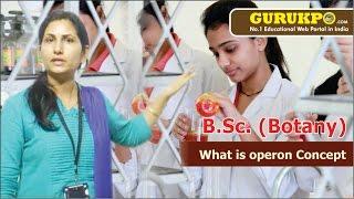 What is Operon concept? BSc Botany (Science) Gurukpo