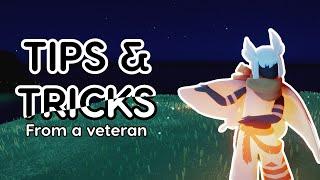 Tips and tricks in Sky: COTL!