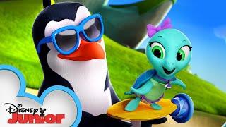 Surfin Birds Magical Moment | T.O.T.S. | @disneyjunior