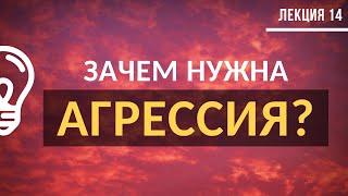 Психология эмоций. Чем полезна агрессия? / Лекция №14 (полностью)