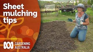 How to get started using sheet mulching to kill weeds | Gardening 101 | Gardening Australia