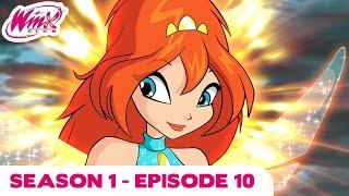 Winx Club - Season 1 Episode 10 - Bloom Tested - [FULL EPISODE]