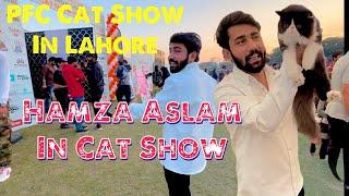 Biggest Cat Show in Pakistan || Hamza Aslam in Cat Show || PFC Cat Show In Lahore EME Sports Complex