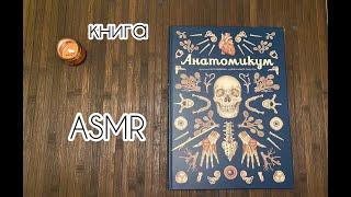 АСМР | Книга "Анатомикум"| Шёпот | Шуршание