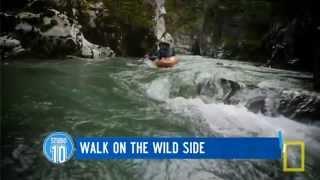 Walk On The Wild Side: Nature Filmmaker Bryan Smith