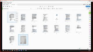 Adobe Acrobat Pro DC Tutorial 4 - Organize Pages