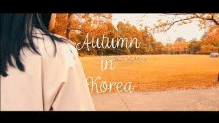 AUTUMN IN KOREA 2019 한국의 가을 2019 ОСЕНЬ В КОРЕЕ 2019