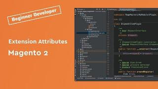 Extension Attributes in Magento 2 explained