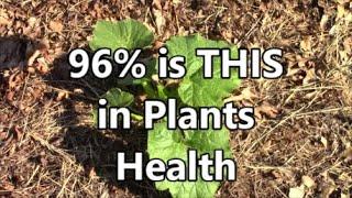 96% of Garden Vegetables Plant  Health Need This