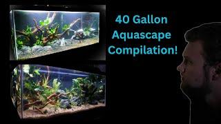 40 gallon Beginner Aquascape tutorials!