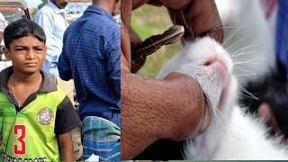 RABBIT IN ROAD SIDE |AARON VLOGS TAMIL INDIAN RABBIT muyal முயல்