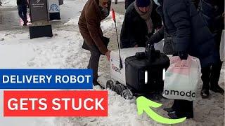 Delivery Robot Alisa Gets Stuck in Russian Snow and Needs Human Help