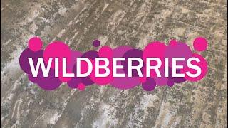 Распаковка с Wildberries | Духи и другие бюджетные находки