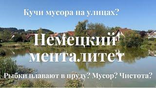 Есть ли мусор на улицах моего города? Такое возможно?