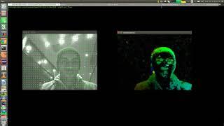 OpticalFlow Farneback with Opencv