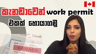 කැනඩා work permit apply  කරන්න පුලුවන් විදි ගැන දැනගන්න හැමදේම|Pathways to apply Canada work permit
