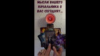 Мысли Вашего начальника о Вас сегодня ? #волшебнаявселеннаятаро