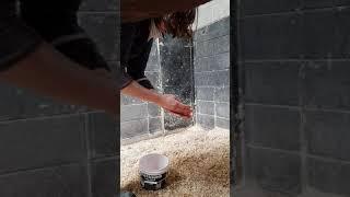 horse bean removal. www.stablesolutions.ai