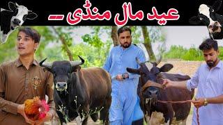 Eid mal mandi 2023 funny video | Zindabad vines new video 2023 | Pashto new funny videos