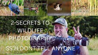 2- Secrets to Wildlife Photography -Ss'h Don't tell anyone #wildlifephotoghraphy