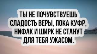 1137. Ты не почувствуешь сладость веры, пока куфр, нифак и ширк не станут для тебя ужасом || Ринат