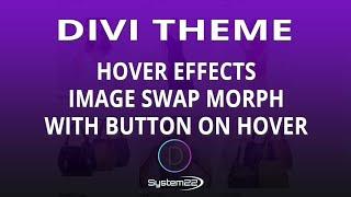 Divi Theme Hover Effects Image Swap Morph With Button On Hover 