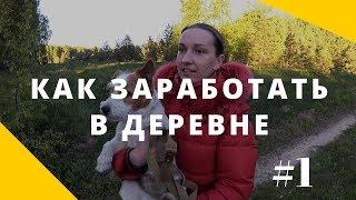 Передержка для собак // Зоогостиница // Как заработать в деревне?