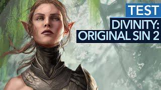 Divinity: Original Sin 2 - Test / Review: Ein MUSS für Rollenspiel-Fans! (Gameplay)