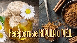 НЕВЕРОЯТНЫЕ СВОЙСТВА КОРИЦЫ С МЁДОМ