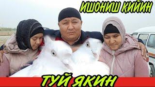 КУТИЛМАГАН ЯНГИЛИК/ КИЁВ БОЛА КИМ? (ОХУНОВ ТВ)