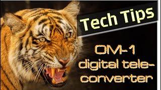 OM Digi Converter