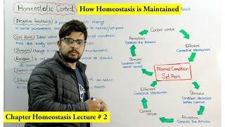 Homeostatic control mechanism, | How homeostasis occurs |