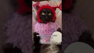 When your weird maches my weird call me maybe #catshorts #funnycatvids #catsofyoutube #catsoftiktok