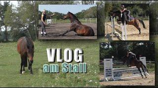 Vlog am Stall - FMA | Springstunde