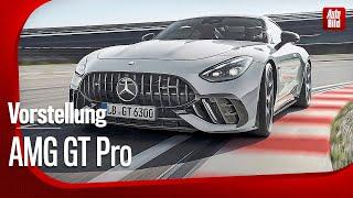 Mercedes-AMG GT Pro | Vorstellung mit Sebastian Friemel