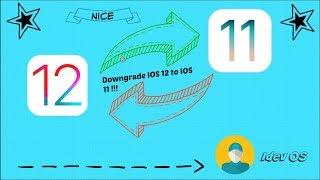 Downgrade IOS 12 IOS 11