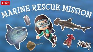 gathering patients for my MARINE RESCUE CENTER