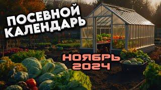 Агрогороскоп Ноябрь 2024: Лунный посевной календарь для сада и огорода