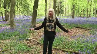 Fairy bluebell magic, the fairies will lure you away @OSTENTUM1 ￼