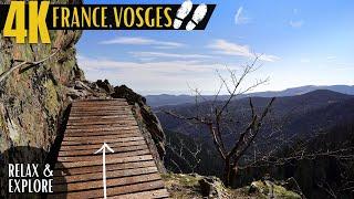 Beauty of Vosges Mountains - Nature Walk in France | 4K Nature Relaxation with calming music