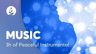 3 Hours of Peaceful & Relaxing Instrumental Music  | Spa Music | Long Playlist | BetterSleep