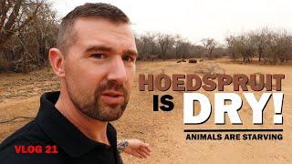 Hoedspruit is dry! | Animals are starving | Dutch guy living in South Africa - v21