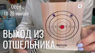 ОВЕН : Новый свет! Выход из отшельника! | Неделя 18-25 ноября 2024 таро прогноз