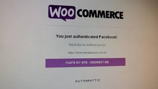 Como integrar e sincronizar Woocommerce wordpress com loja no Instagram e Facebook