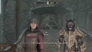 I broke Skyrim with mods...