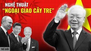 Những dấu ấn ngoại giao của cố Tổng Bí thư Nguyễn Phú Trọng | Hải Stark | Thế Giới